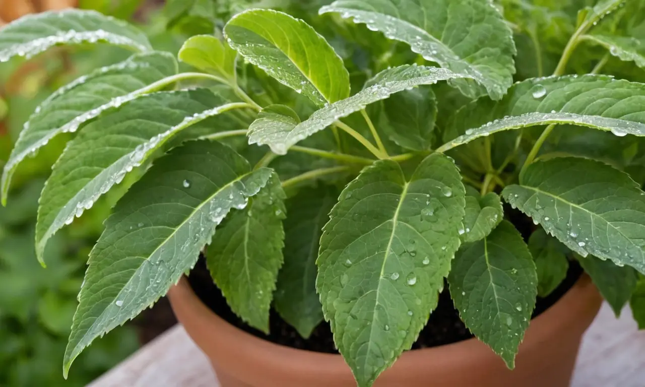 Planta verde vibrante en un ambiente natural