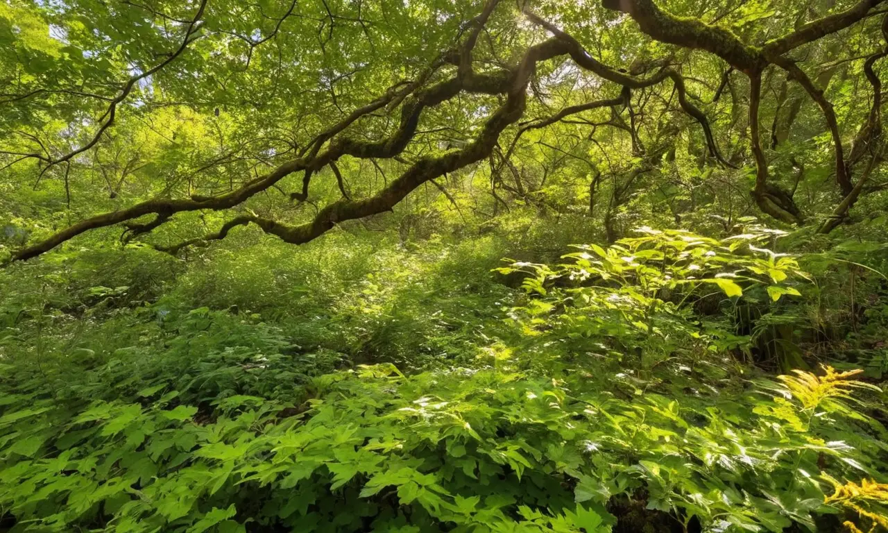 Ecosistema vibrante lleno de vida y diversidad
